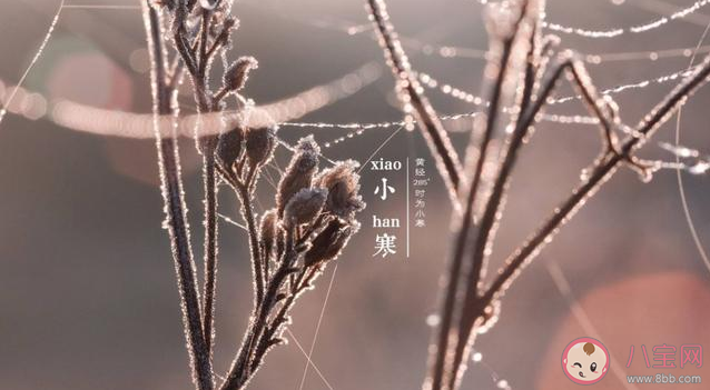 小寒是一年中最冷的時節嗎 小寒和大寒哪個更冷 小寒是一年中最冷的時節嗎 小寒和大寒哪個更冷