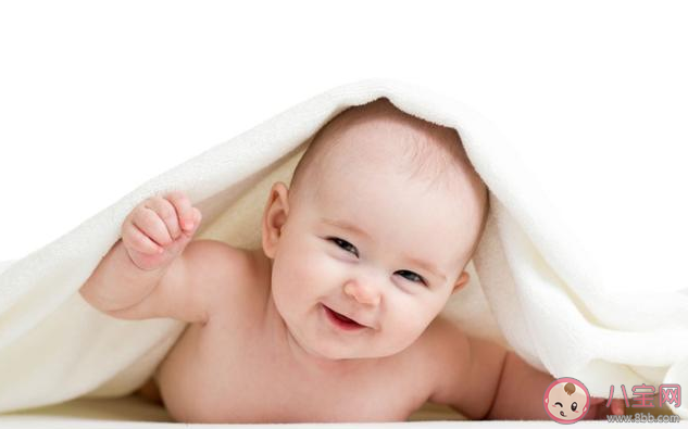 2020鼠年幾月生男孩概率大 2020鼠年生男孩命運(yùn)好嗎 2020鼠年幾月生男孩概率大 2020鼠年生男孩命運(yùn)好嗎