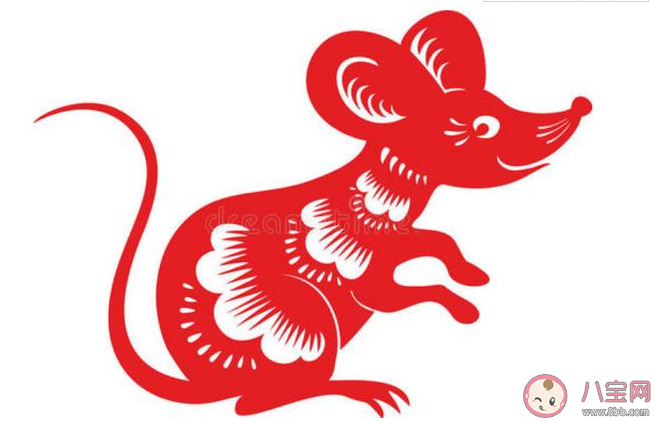 2020幾月出生的寶寶是鼠寶寶 2020鼠年寶寶幾月出生命最好