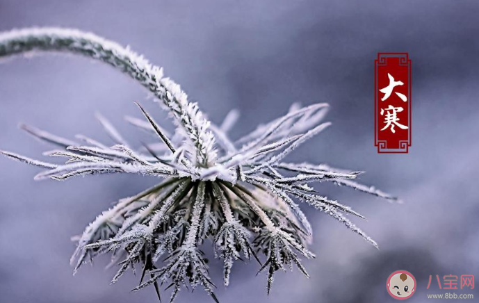 2020大寒節(jié)氣順口溜諺語大全 大寒節(jié)氣有哪些順口溜農(nóng)諺