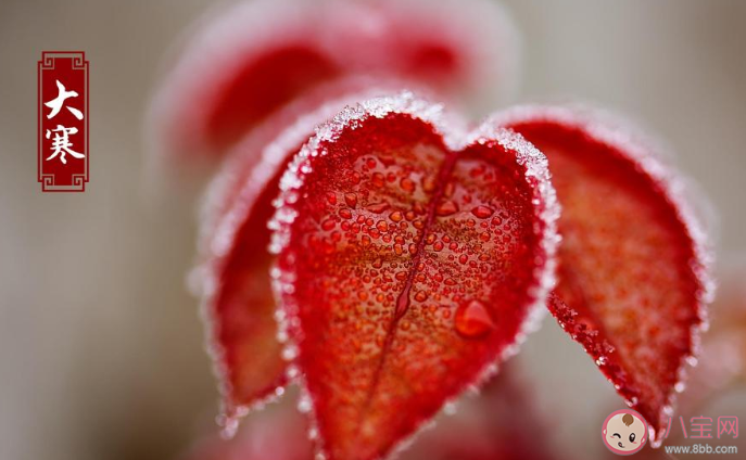 2020大寒創意文案說說合集 大寒節氣朋友圈文案精選