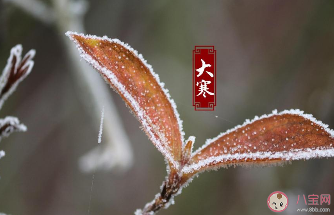 2020大寒創意文案說說合集 大寒節氣朋友圈文案精選