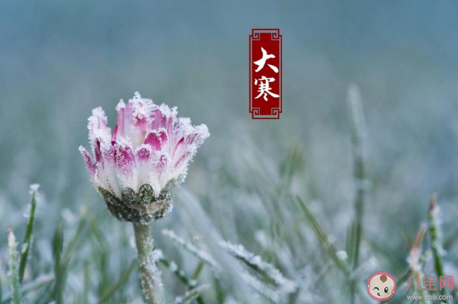 2020大寒創意文案說說合集 大寒節氣朋友圈文案精選