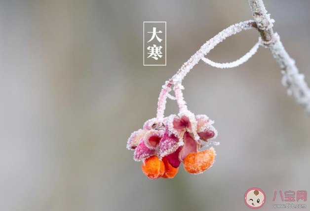 2020大寒節氣搞笑文案說說 大寒節氣幽默搞笑的句子 2020大寒節氣搞笑文案說說 大寒節氣幽默搞笑的句子