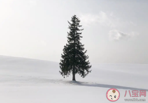 低成本的愛好有哪些 低成本的愛好大全