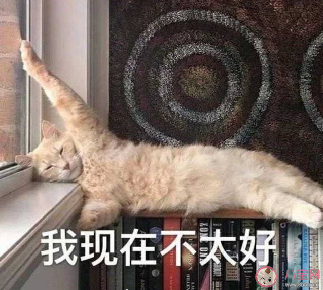 女生不會打扮是什么體驗 女生不會打扮自己怎么辦