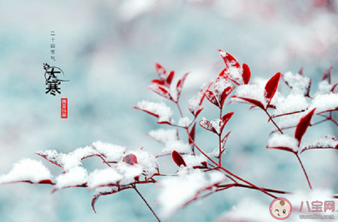 大寒節氣吃什么養生 大寒節氣吃什么食物好 大寒節氣吃什么養生 大寒節氣吃什么食物好