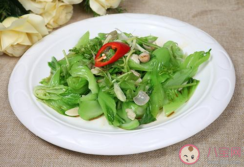 三九天吃什么蔬菜好 三九時節時令蔬菜必備推薦