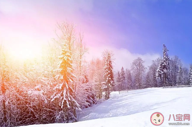 三九天怎么調理身體 三九天該如何進補