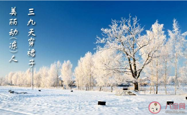 三九天經典祝福語說說文案 三九天短信祝福語朋友圈句子 三九天經典祝福語說說文案 三九天短信祝福語朋友圈句子