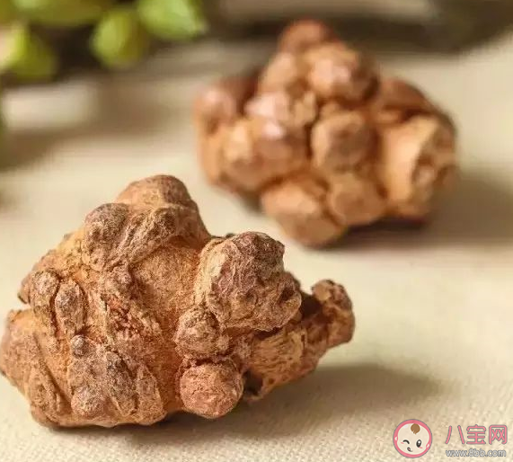 老人吃三七粉有什么好處 老人吃三七粉要注意什么 老人吃三七粉有什么好處 老人吃三七粉要注意什么