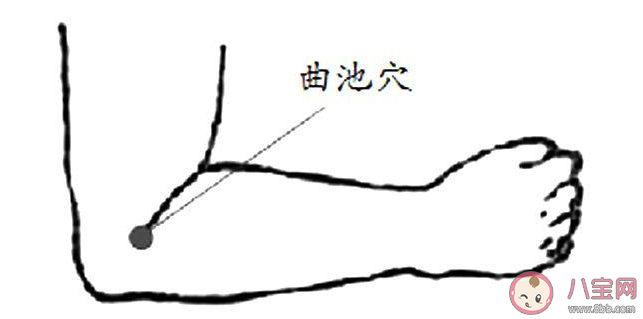 曲池穴位置怎么找 曲池穴準確位置圖解 曲池穴位置怎么找 曲池穴準確位置圖解