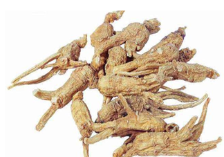 黃芪當歸泡水喝有什么功效 黃芪當歸怎么吃補血養(yǎng)生