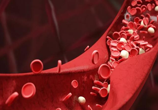 吃什么食物能軟化血管 軟化血管食物推薦