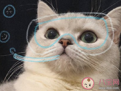 突然間不火的網絡梗有哪些 2020突然間不火的網絡梗 突然間不火的網絡梗有哪些 2020突然間不火的網絡梗