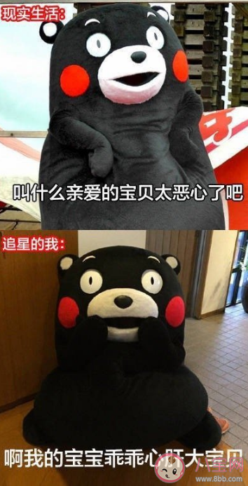 為了追星做過的傻事有哪些 怎么看待追星做的傻事