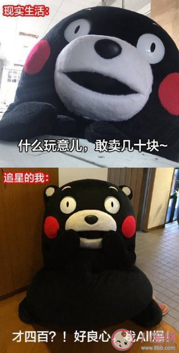 為了追星做過的傻事有哪些 怎么看待追星做的傻事