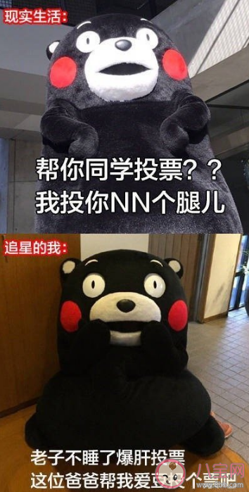 為了追星做過的傻事有哪些 怎么看待追星做的傻事