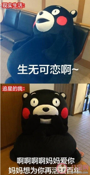 為了追星做過的傻事有哪些 怎么看待追星做的傻事