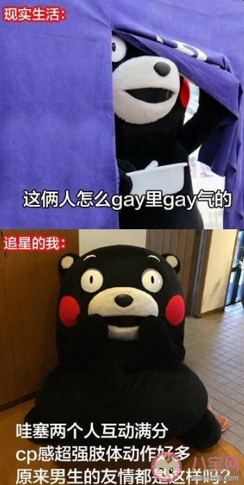 為了追星做過的傻事有哪些 怎么看待追星做的傻事