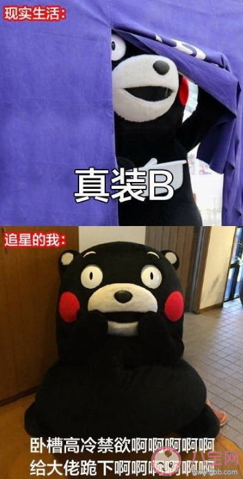 為了追星做過的傻事有哪些 怎么看待追星做的傻事