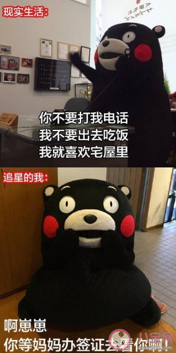 為了追星做過的傻事有哪些 怎么看待追星做的傻事