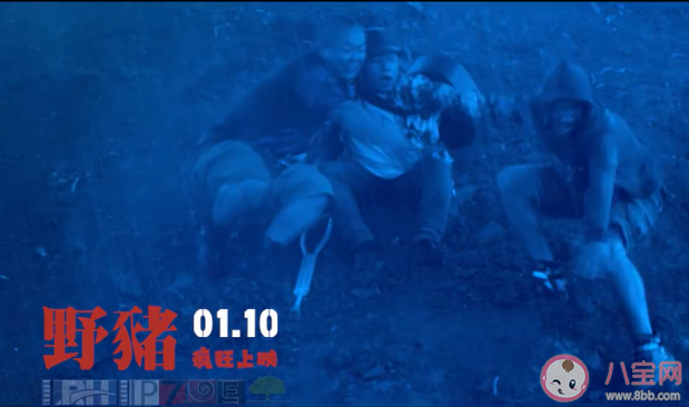 你被野豬拱了嗎是什么意思 你被野豬拱了嗎梗的出處是什么