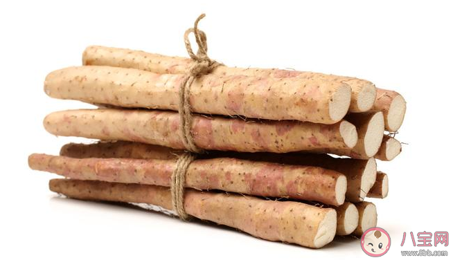 鐵棍山藥比普通山藥更有營養(yǎng)嗎 鐵棍山藥和普通山藥有什么區(qū)別 鐵棍山藥比普通山藥更有營養(yǎng)嗎 鐵棍山藥和普通山藥有什么區(qū)別