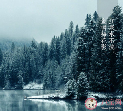 三九第一天的心情句子 三九第一天發朋友圈文案說說