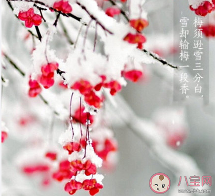 三九第一天的心情句子 三九第一天發朋友圈文案說說