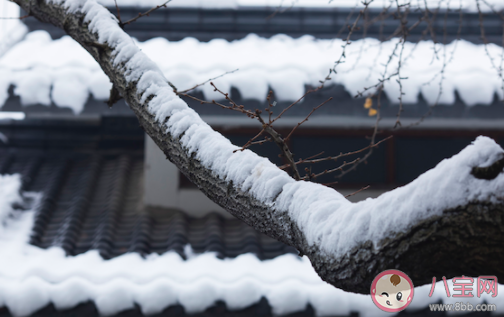 三九天太冷溫暖問候語 三九天溫暖說說句子 三九天太冷溫暖問候語 三九天溫暖說說句子