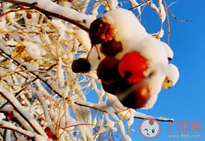 三九天太冷溫暖問候語 三九天溫暖說說句子 三九天太冷溫暖問候語 三九天溫暖說說句子