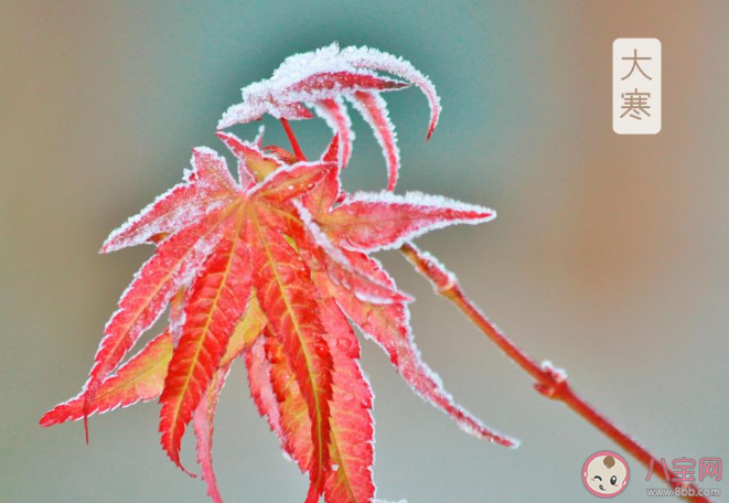 2020大寒早安心語(yǔ)文案句子帶圖 大寒節(jié)氣早安朋友圈說(shuō)說(shuō)祝福語(yǔ)