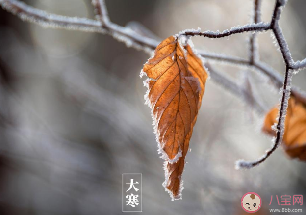 2020大寒早安心語(yǔ)文案句子帶圖 大寒節(jié)氣早安朋友圈說(shuō)說(shuō)祝福語(yǔ)
