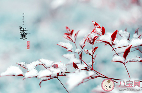 大寒節氣是一年中最冷的時候嗎 大寒節吃什么傳統食物