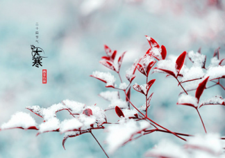 大寒節氣是一年中最冷的時候嗎 大寒節吃什么傳統食物