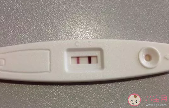 2020鼠年備孕注意事項 鼠年備孕技巧大全 2020鼠年備孕注意事項 鼠年備孕技巧大全