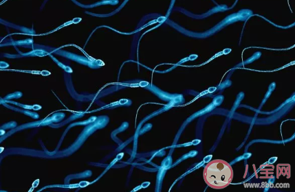 2020備孕二胎怎么快速懷孕 提高二胎命中率方法