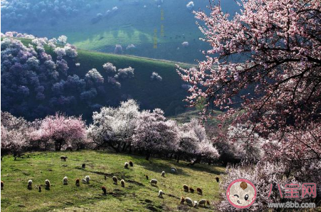 去過一次還想再去的城市 你心中還想再去一次的城市有哪些