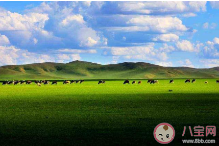 去過一次還想再去的城市 你心中還想再去一次的城市有哪些