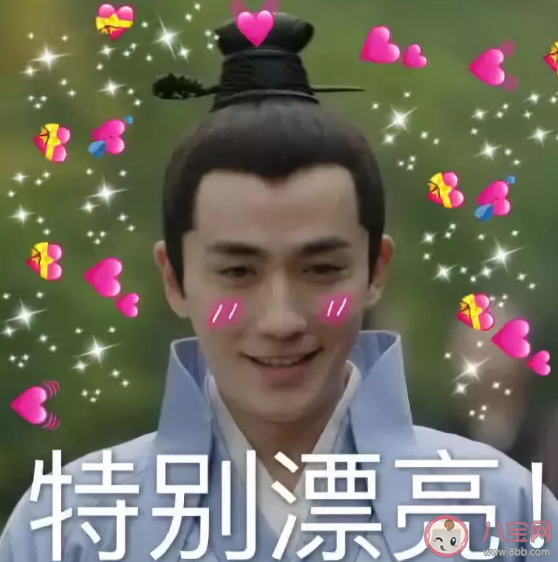 pldd是什么意思 pldd什么梗 pldd是什么意思 pldd什么梗