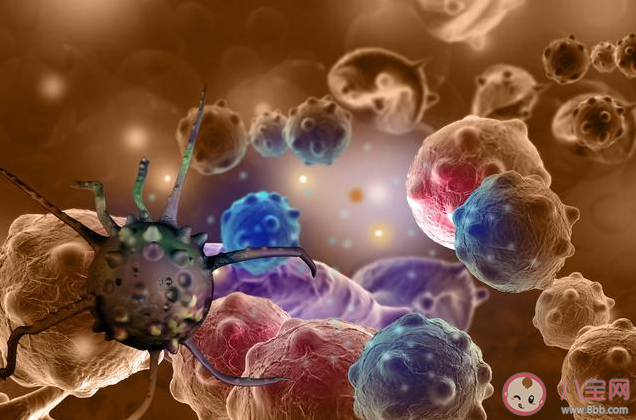 科學家找到癌細胞轉移擴散原因是真的嗎 癌細胞轉移擴散的原因是什么 科學家找到癌細胞轉移擴散原因是真的嗎 癌細胞轉移擴散的原因是什么