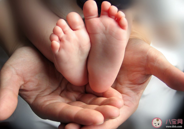 2020起名姓胡可以叫什么名字好 2020姓胡起名推薦