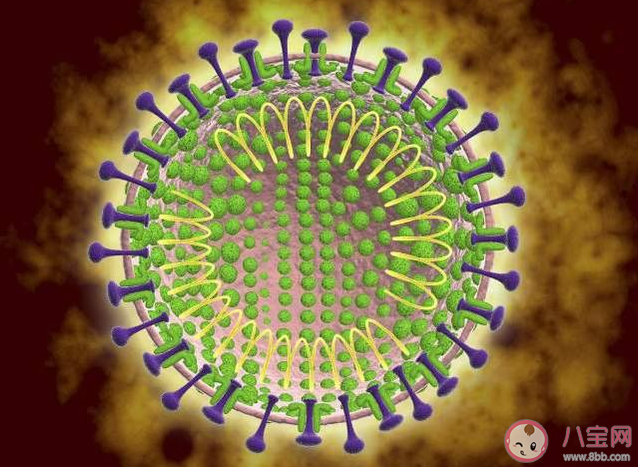 新型冠狀病毒感染的肺炎癥狀是什么 有針對(duì)新型冠狀病毒的治療方法嗎