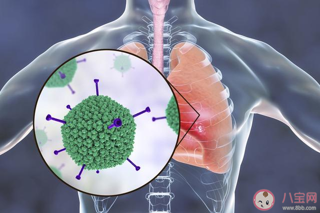 新型冠狀病毒傳染來源是什么 關于新型冠狀病毒的幾大謠言