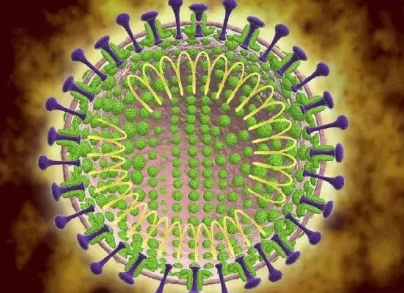 新型冠狀病毒傳染性比SARS弱嗎 新型冠狀病毒與SARS類似嗎 新型冠狀病毒傳染性比SARS弱嗎 新型冠狀病毒與SARS類似嗎