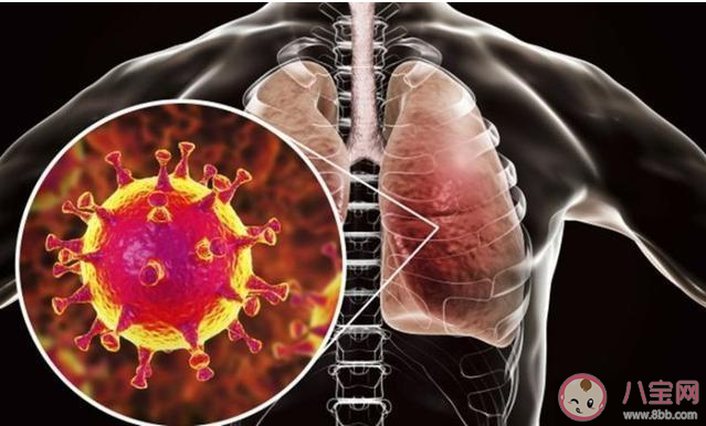哪些人是新型冠狀病毒肺炎高危人群 新型冠狀病毒高危人群特點(diǎn) 哪些人是新型冠狀病毒肺炎高危人群 新型冠狀病毒高危人群特點(diǎn)
