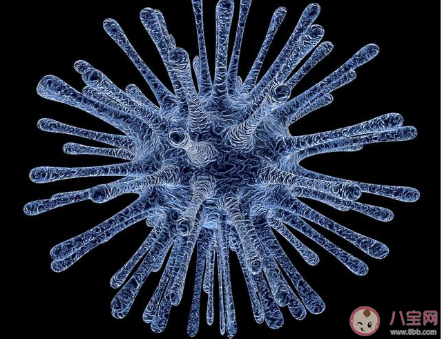 新型冠狀病毒肺炎被納入法定傳染病是什么意思 法定傳染病通常具備什么特點