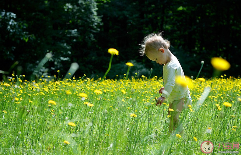 孩子摔倒后扶不扶 孩子摔倒后應該怎么做比較好2020