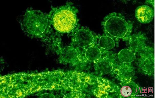 近期去過武漢回到居住地要注意什么 新型冠狀病毒存在病毒變異嗎